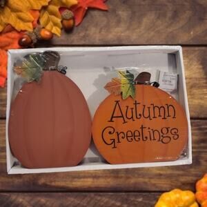 Set of 2 Wooden Pumpkins Autumn Greetings Harvest Thanksgiving Decor New